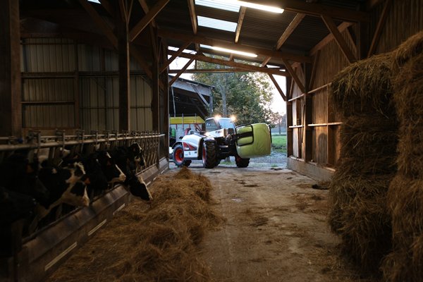 Bobcat TL34.65 HF Teleskopstapler